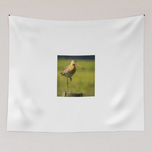Item preview, Black tailed godwit in the Netherlands  designed and sold by Anita van Gendt.