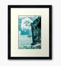 Malahide Castle Graves Framed Print