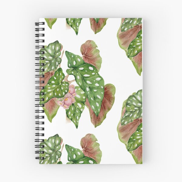 Item preview, Begonia plant designed and sold by PetitMartin.