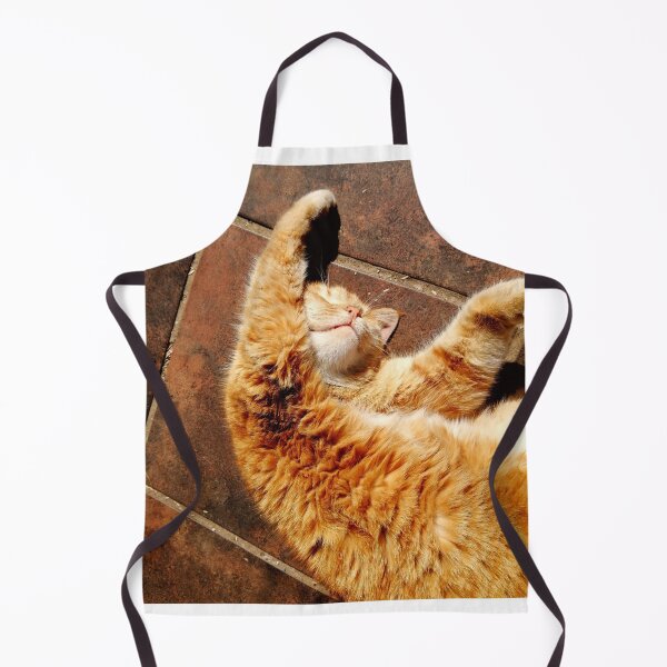 Item preview, Orange cat bathing in sunlight | cat in sun orange ginger tabby cat napping  designed and sold by AkiruzArt.