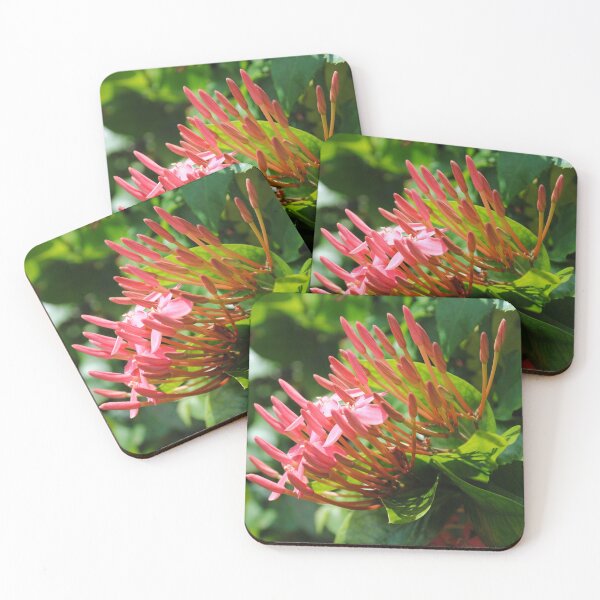 Item preview, Flower my backyard designed and sold by FindYouByZ.