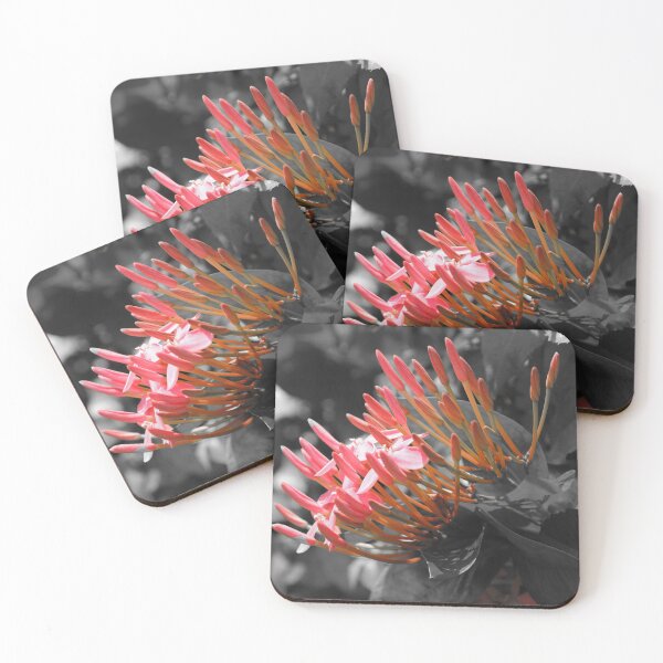 Item preview, Flower my backyard with color filter designed and sold by FindYouByZ.