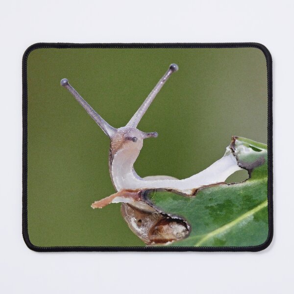 Item preview, r1218/ Finition 2021 - 3 - Escargot  " Coucou ! "  (c)(h) Olavia-Olao Okaio Créations designed and sold by o.okaïo.