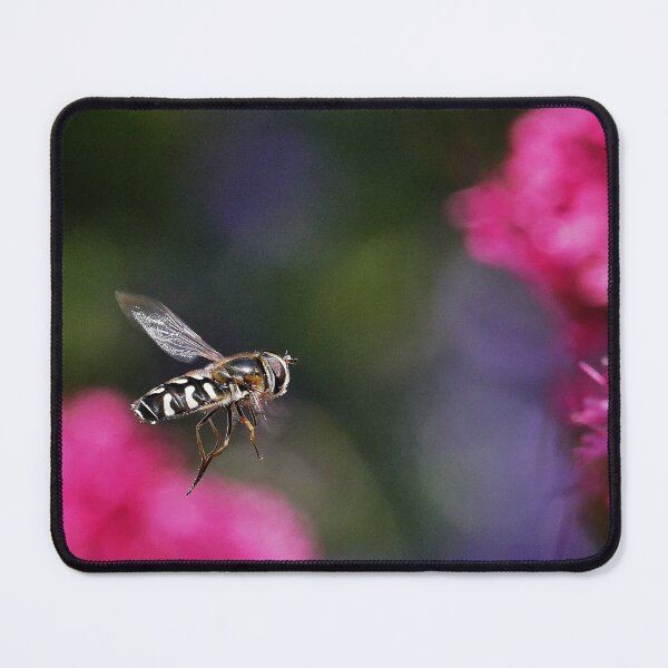 Item preview, r1215/ Finition 2021 - 1 -  " bzzz... j'arrive...! "  (c)(h) Olavia-Olao Okaio Créations designed and sold by o.okaïo.