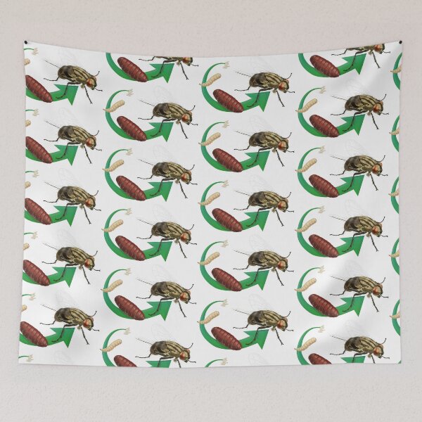 Item preview, Life Cycle of a House Fly, Pupa, Larva and Eggs designed and sold by ScienceSource.