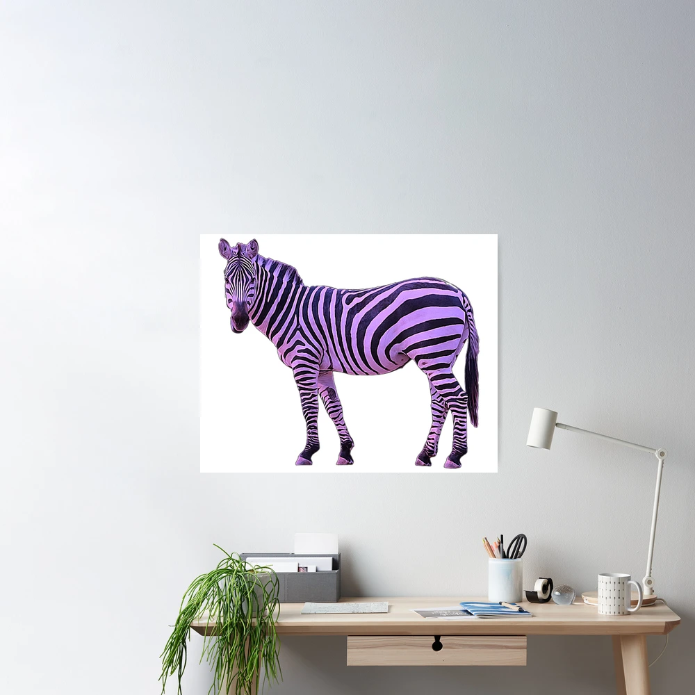 Purple Zebra  Discover the world of Purple Zebra