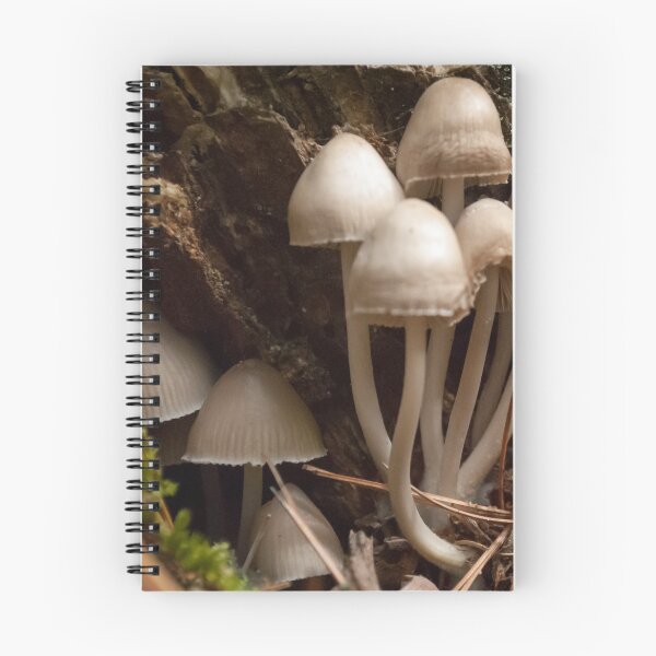 Item preview, Mycena Mushrooms designed and sold by Rebecca Bryson.