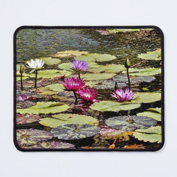 Item preview, The Pond designed and sold by stephenB.