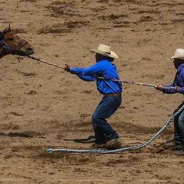 Artwork thumbnail, First Rodeo by Shari Galiardi