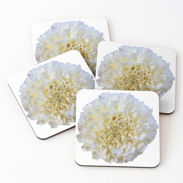 Item preview, Cream Marigold Flower Still Life Floral Photography designed and sold by CottoVerdi.
