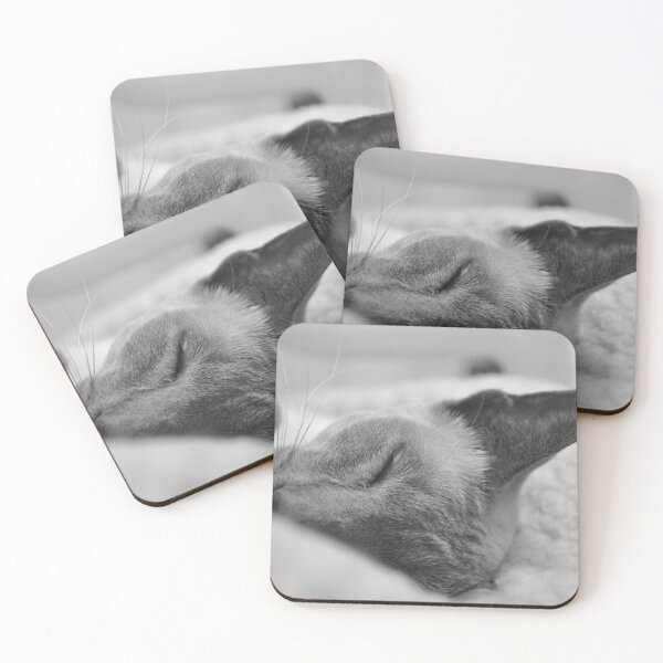 Item preview, Family Cat designed and sold by FindYouByZ.
