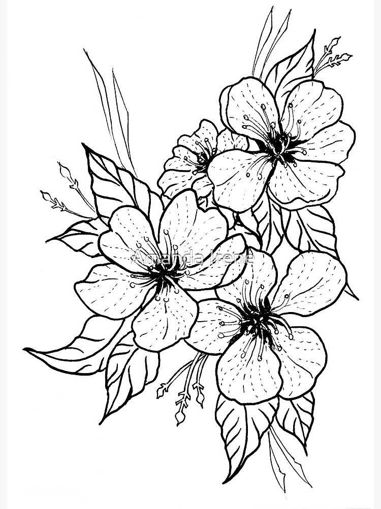 Impression rigide for Sale avec l'œuvre « Style de tatouage noir et blanc  moderne de dessin au trait de trois fleurs, de stylo et d'encre » de l'artiste  Amanda Irene