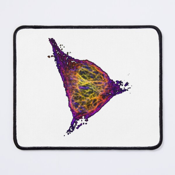 Item preview, Real human cell, rainbow colored cytoskeleton designed and sold by CellSci.