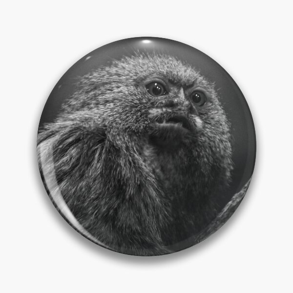 Item preview, Pygmy Marmoset - Cebuella Pygmaea - 001 designed and sold by agu-photos.