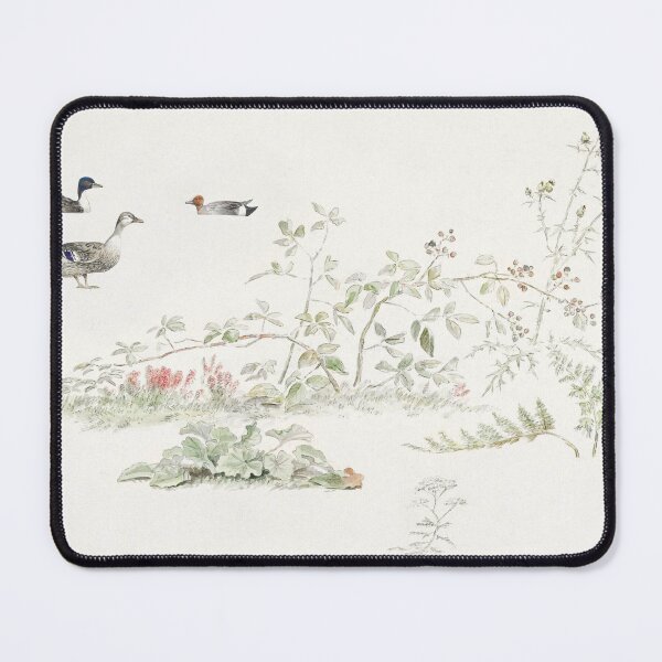 Item preview, Studieblad met planten en watervogels (study sheet with plants and waterfowl) by Joseph August Knip (1777–1847). Original from The Rijksmuseum. designed and sold by LenaShines.