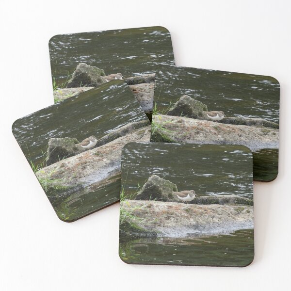 Item preview, Common sandpiper alone on a rock designed and sold by Jouko Lehto Photography.