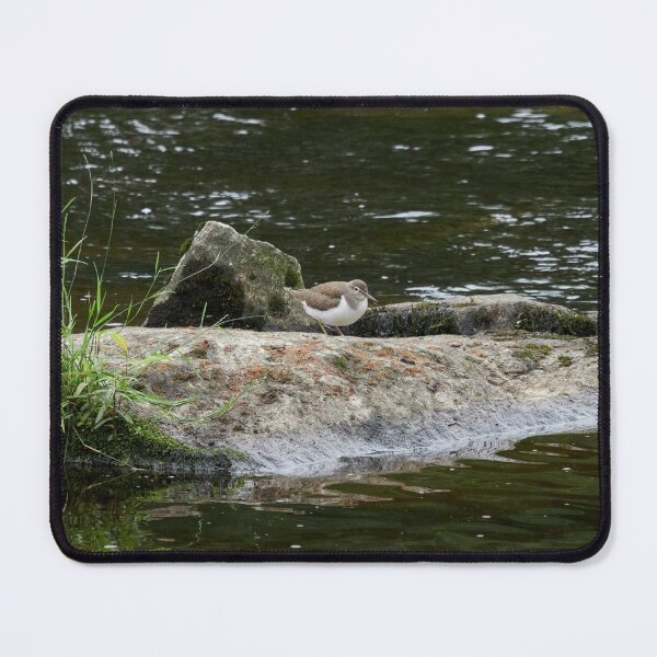 Item preview, Common sandpiper alone on a rock designed and sold by Jouko Lehto Photography.