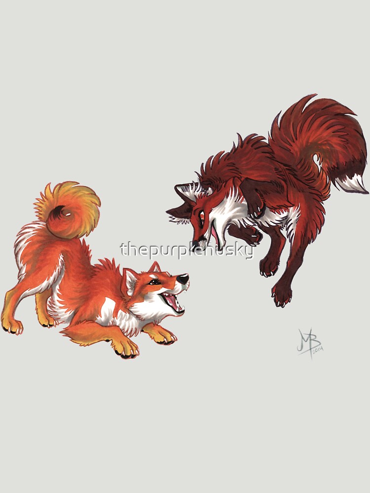 Lookalikes: Shiba & Fox by thepurplehusky