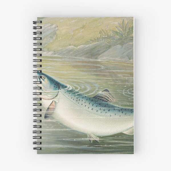 Artikelvorschau, Der kalifornische Lachs von Samuel Kilbourne entworfen und verkauft von themkat.