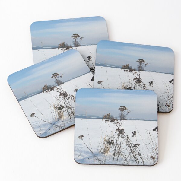 Item preview, Grasses in snow designed and sold by Mark R Bowman.