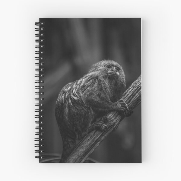 Item preview, Copy of Pygmy Marmoset - Cebuella Pygmaea - 002 designed and sold by agu-photos.