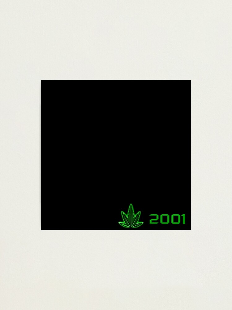 Alternate view of The Chronic Photographic Print