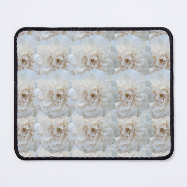 Item preview, White Rose Flower Still Life Floral Photography designed and sold by CottoVerdi.