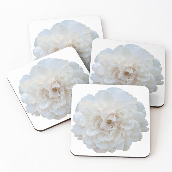 Item preview, Fotografía floral de la naturaleza muerta de la flor de la rosa blanca designed and sold by CottoVerdi.