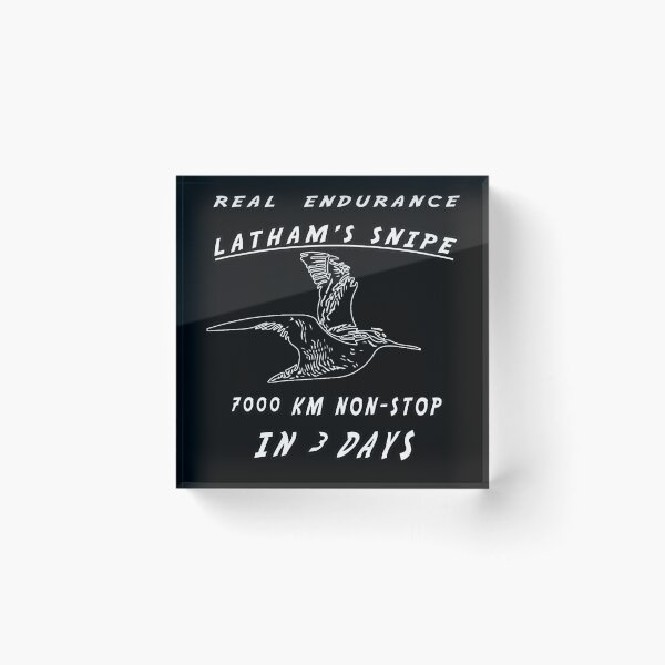 Item preview, Latham's snipe migratory bird real endurance designed and sold by twobillion.