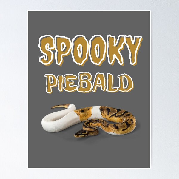 Item preview, Halloween ball python gift | Snake lover b day present designed and sold by OleeVO.
