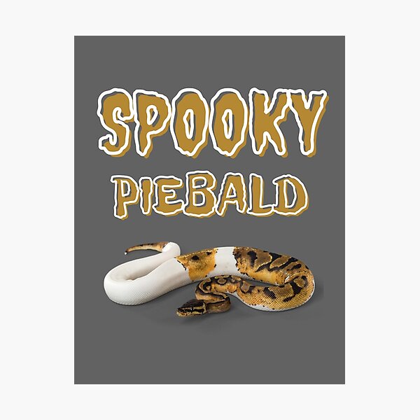 Item preview, Halloween ball python gift | Snake lover b day present designed and sold by OleeVO.