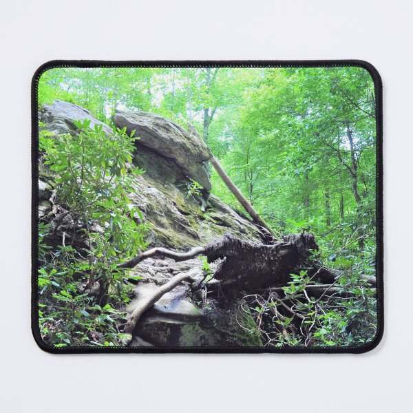 Item preview, Nantahala National Forest designed and sold by Savannah Gibbs.