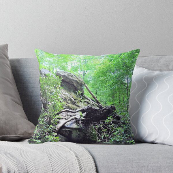 Item preview, Nantahala National Forest designed and sold by Savannah Gibbs.