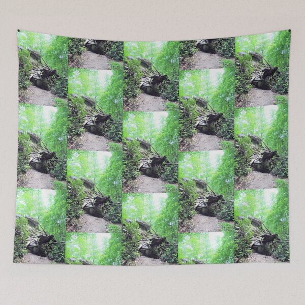 Item preview, Nantahala National Forest designed and sold by Savannah Gibbs.
