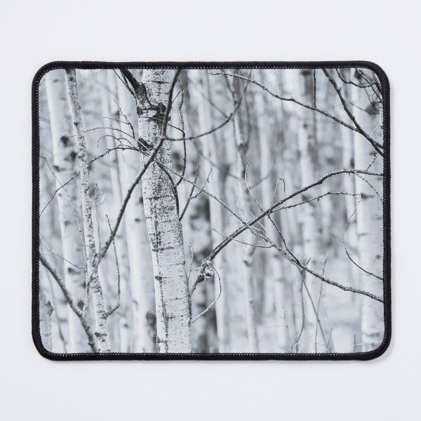 Item preview, Black and White Aspen Forest Abstract designed and sold by Amy Mitchell.