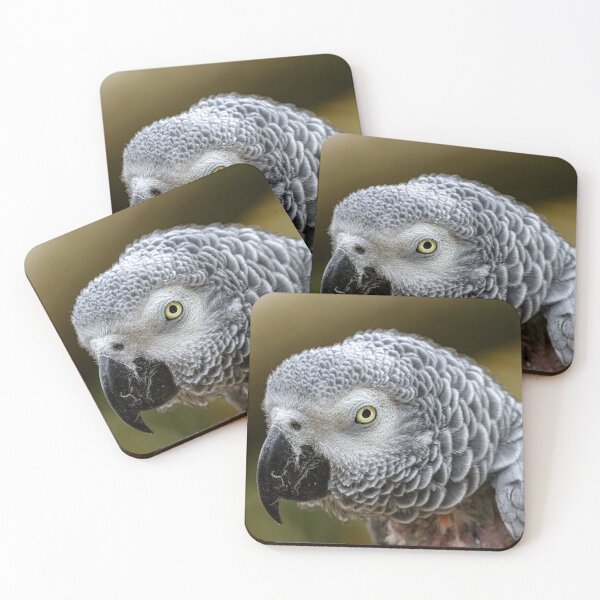 Item preview, Observant Parrot designed and sold by DanielEvans97.