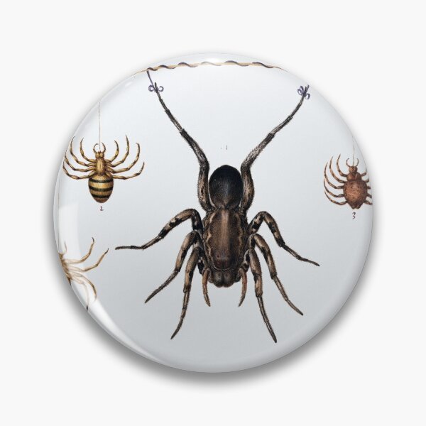 Item preview, Retro Itsy Bitsy Spider Drawing designed and sold by coolwriter123.