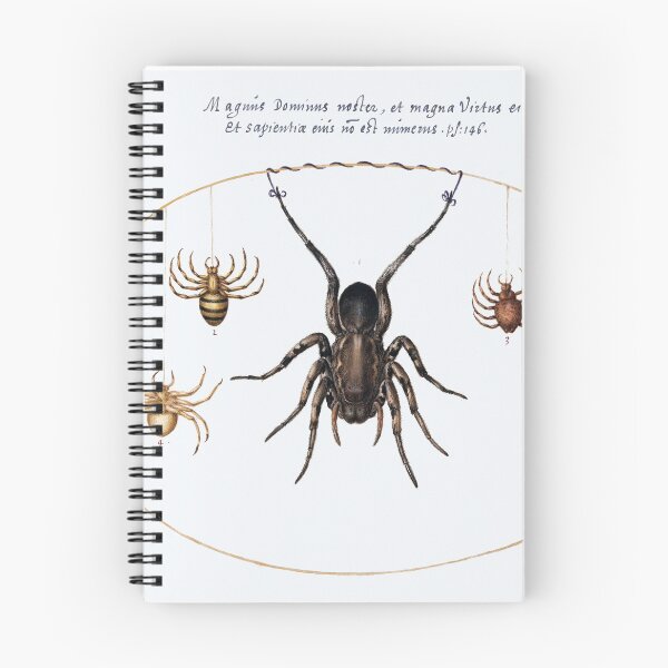 Item preview, Retro Itsy Bitsy Spider Drawing designed and sold by coolwriter123.
