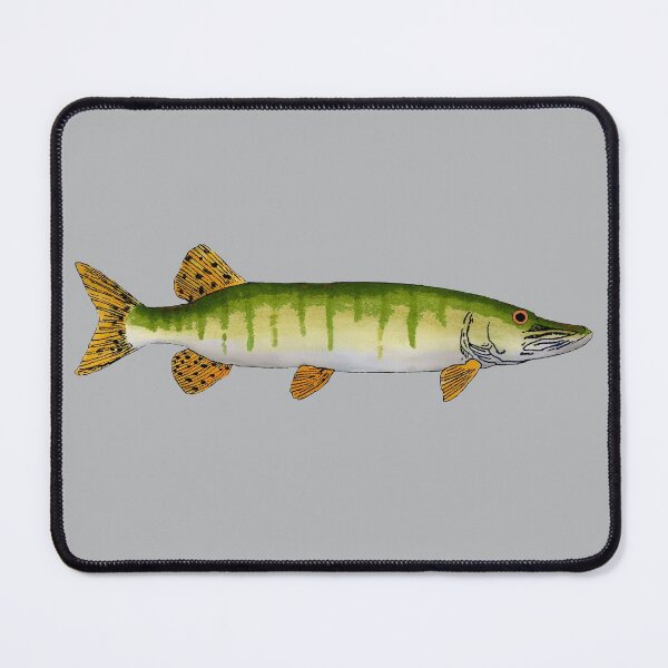 Item preview, Muskellunge (Muskie) designed and sold by fishfolkart.