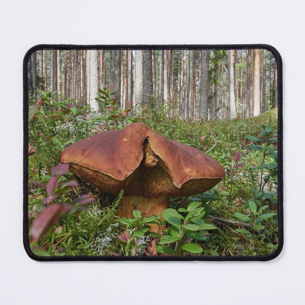 Item preview, The shameless Pine bolete designed and sold by Jouko Lehto Photography.