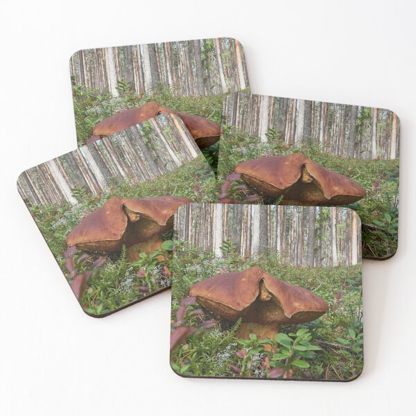 Item preview, The shameless Pine bolete designed and sold by Jouko Lehto Photography.