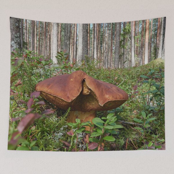 Item preview, The shameless Pine bolete designed and sold by Jouko Lehto Photography.