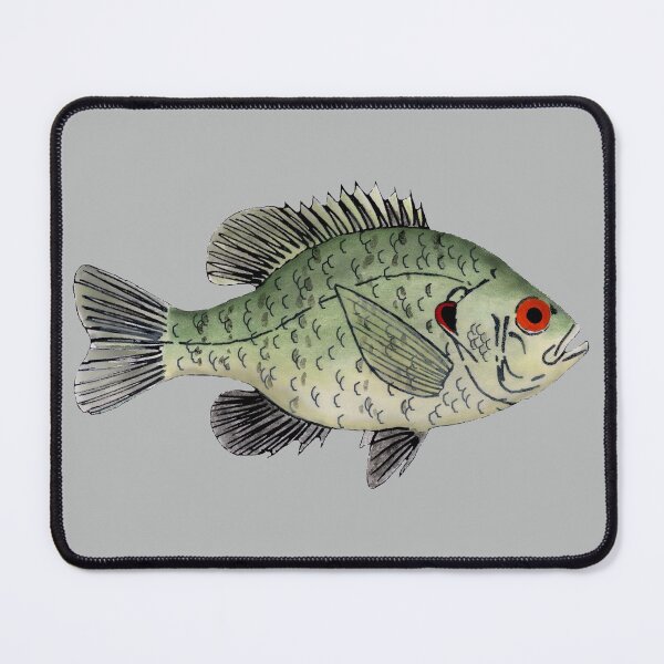 Item preview, Redear Sunfish  designed and sold by fishfolkart.