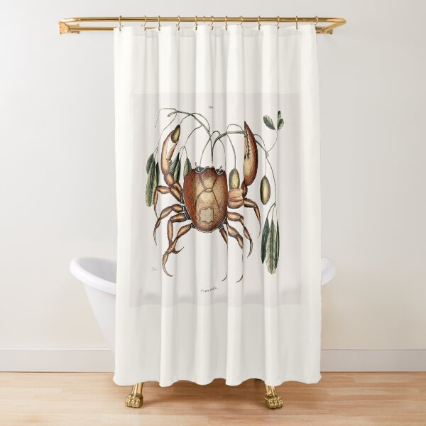 Crab Shower Curtain for sale