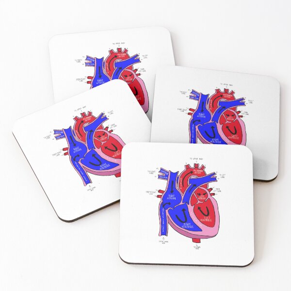 Item preview, Anatomical Heart designed and sold by Angry-Axolotl.