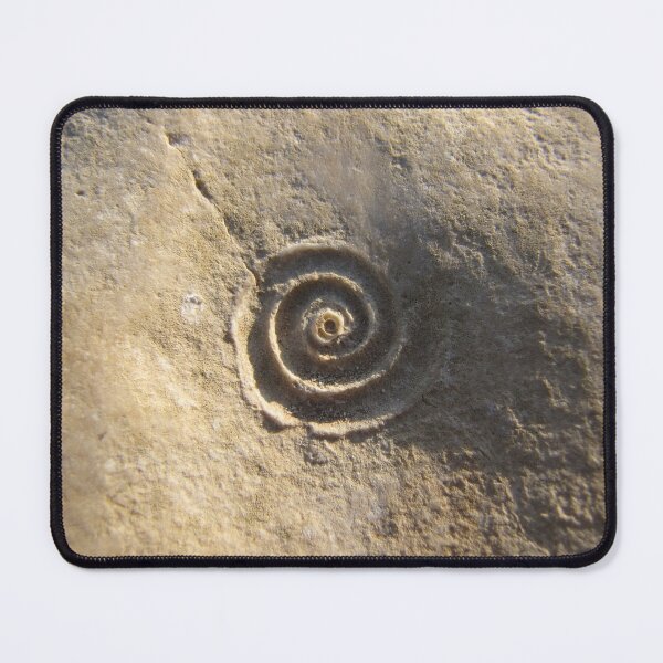 Item preview, Fossil of a Spiral Shell in Stone designed and sold by OneLook.