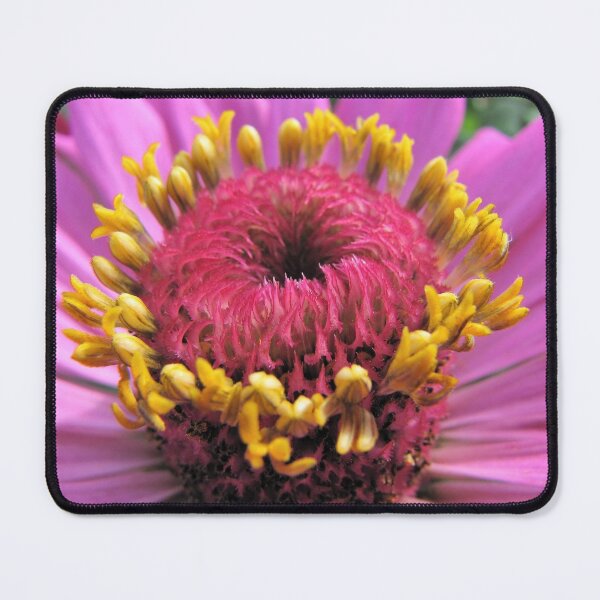 Item preview, Pink Flower with Yellow Stamens designed and sold by OneLook.