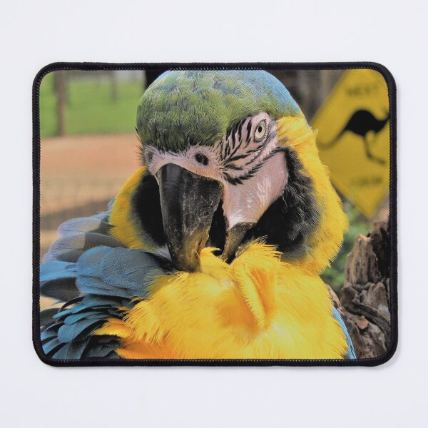 Item preview, Beautiful Ara Parrot Photo designed and sold by OneLook.