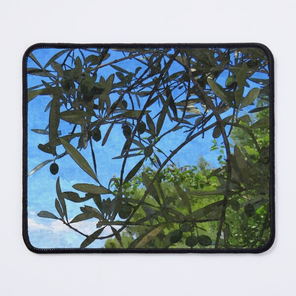Item preview, Olive Tree with Olives Mediterranean Coast Photo designed and sold by OneLook.