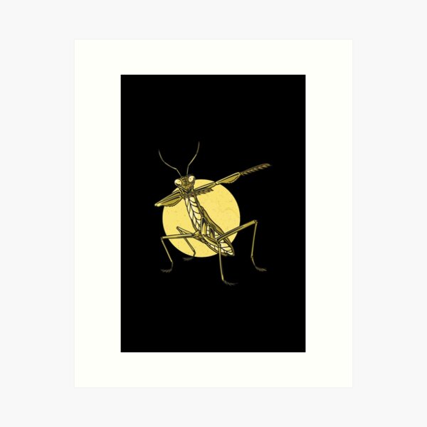 Item preview, Mantis designed and sold by zaher97.
